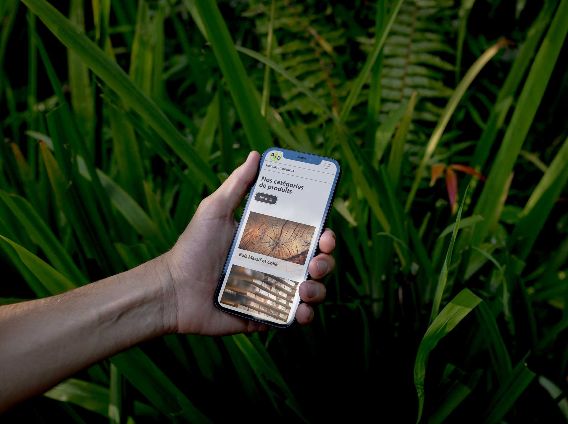 Description alternative par défaut
