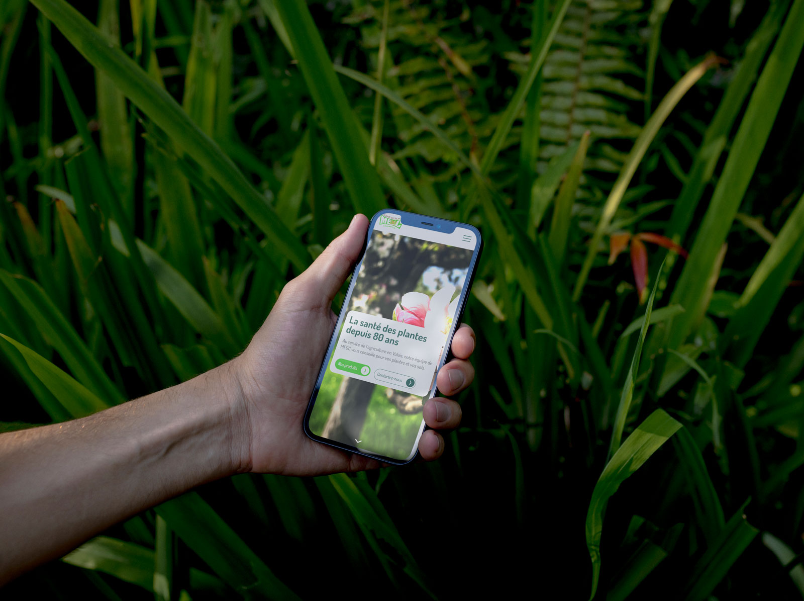 Description alternative par défaut